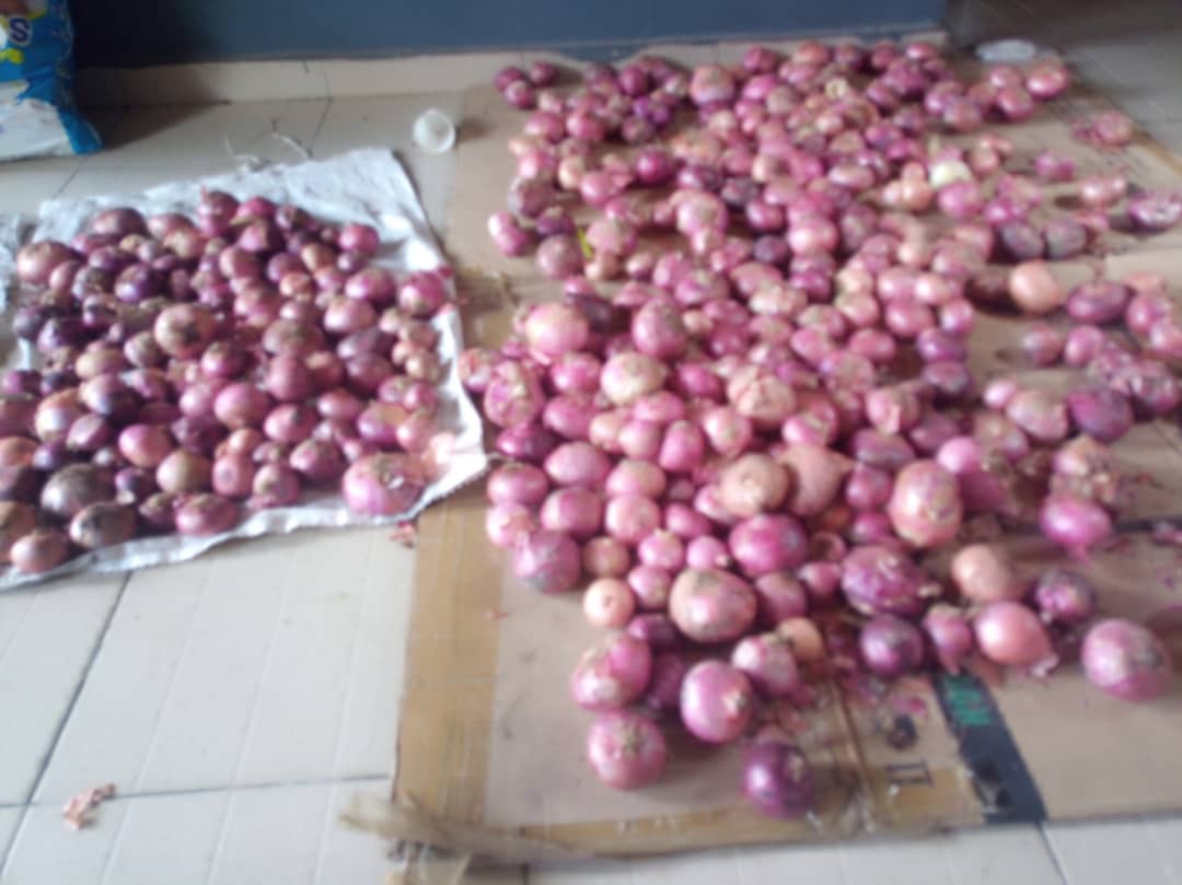 elis love foundation