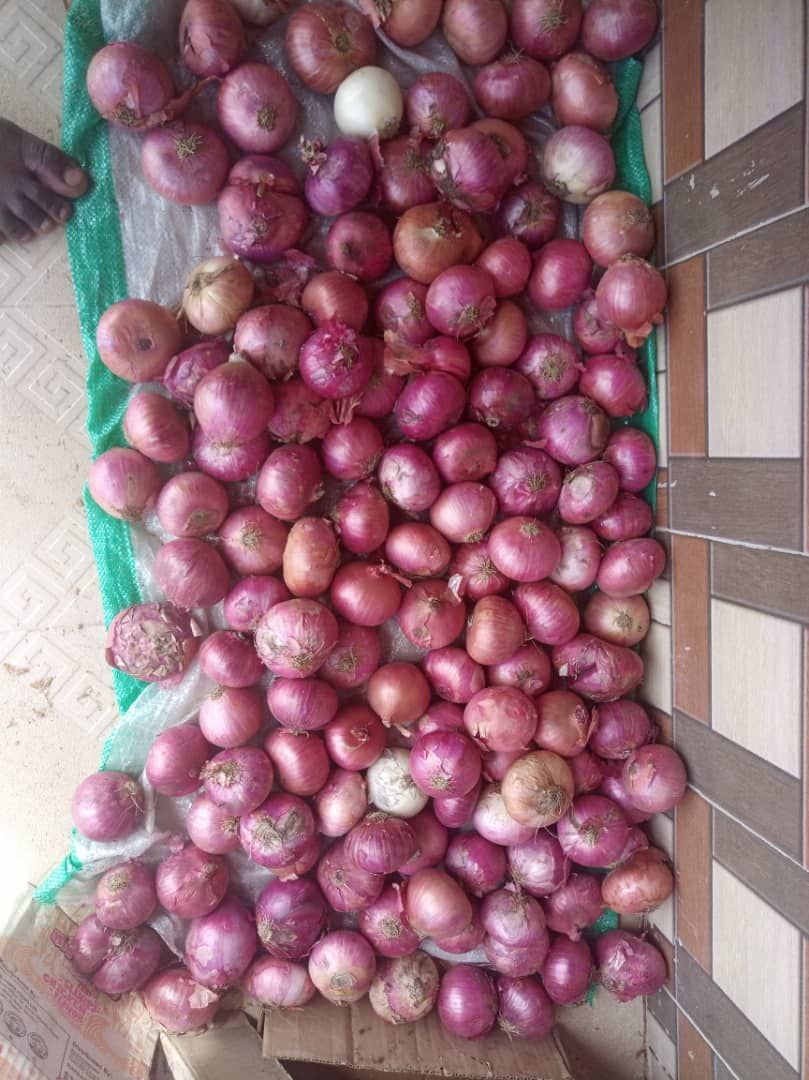 elis love foundation