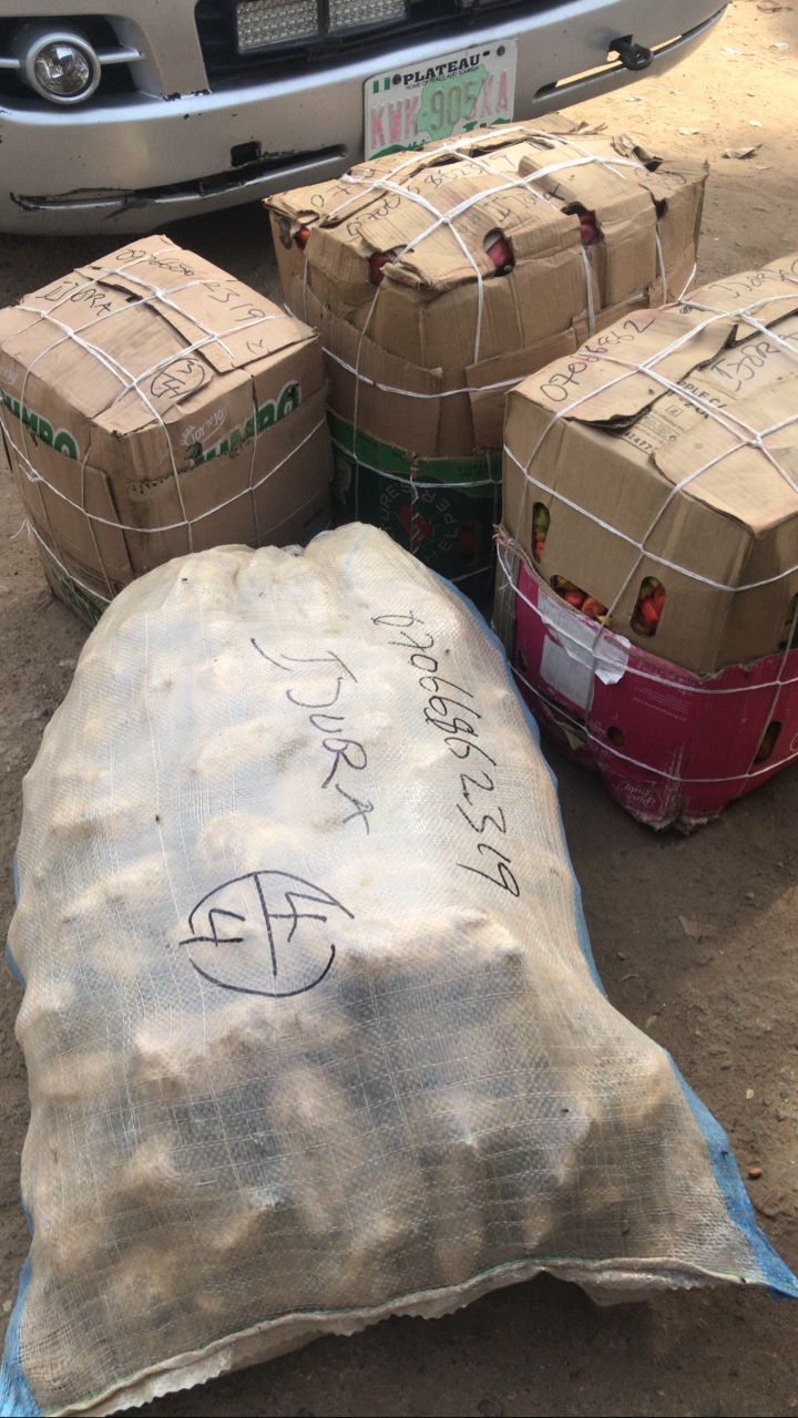 elis love foundation