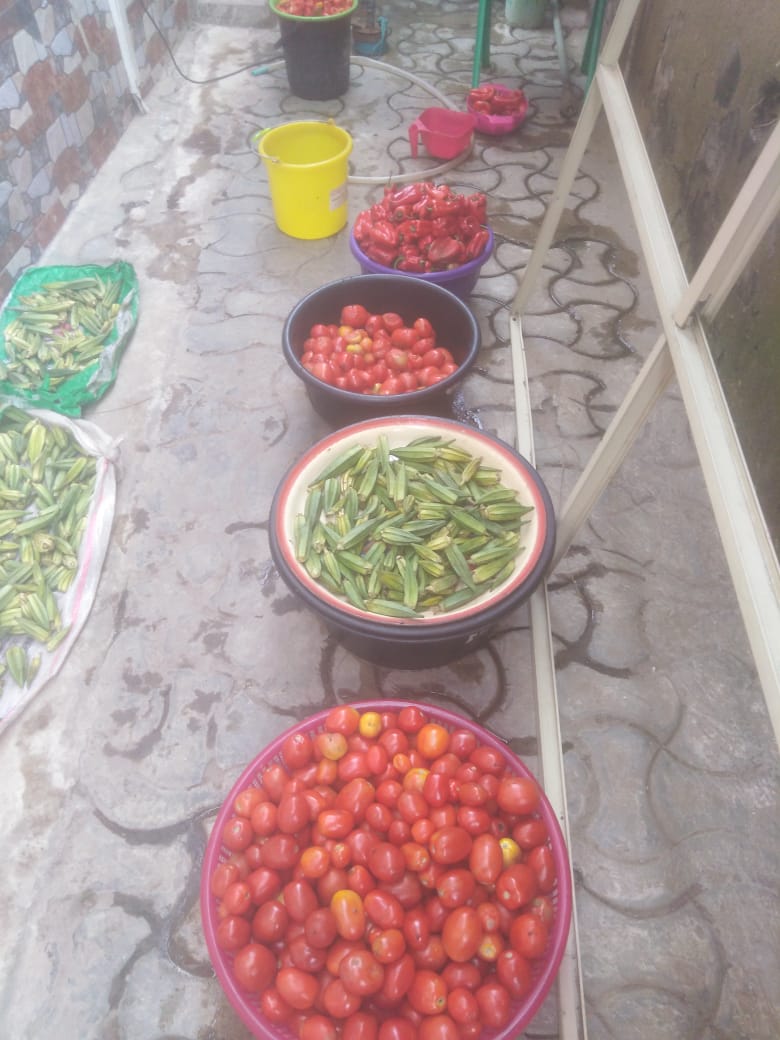 elis love foundation